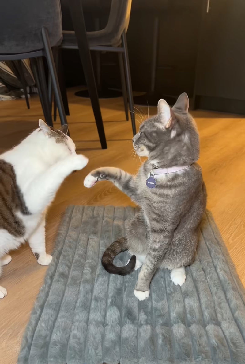 Mehrschichtige Wärme