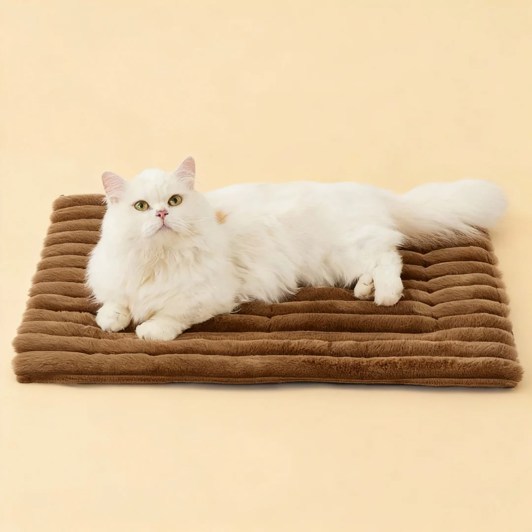 ZayNaro Selbstheizende Thermo-Matte